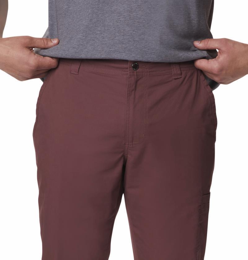 Pine Canyon Pants, 30" Inseam - Mens - Light Raisin 4