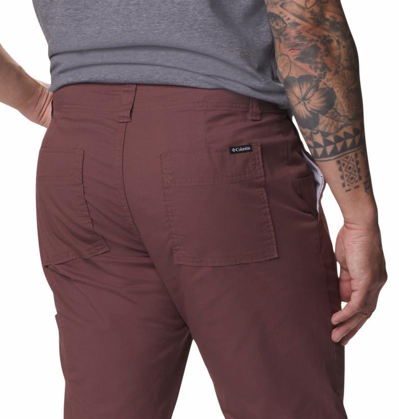 Pine Canyon Pants, 30" Inseam - Mens - Light Raisin 5