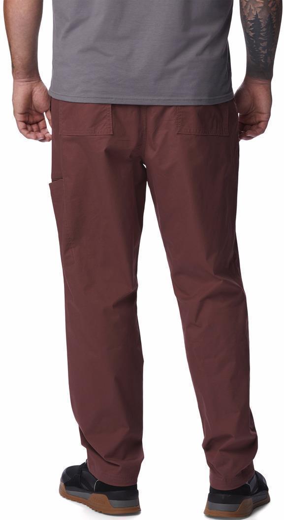 Pine Canyon Pants, 32" Inseam - Big - Mens - Light Raisin 2