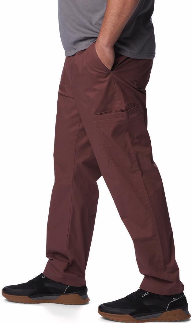Pine Canyon Pants, 32" Inseam - Big - Mens - Light Raisin 3