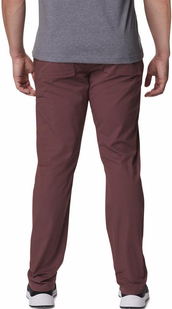 Pine Canyon Pants, 32" Inseam - Mens - Light Raisin 2