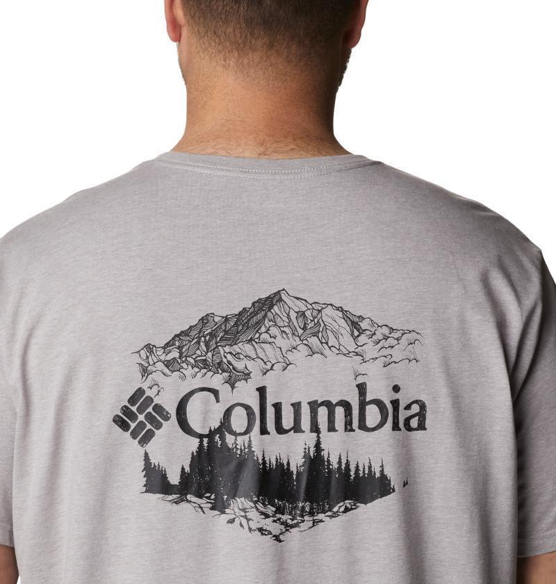 Rockaway River Back Graphic SS Tee - Big - Mens - Columbia Grey Heather / Hex Natured Graphic 4