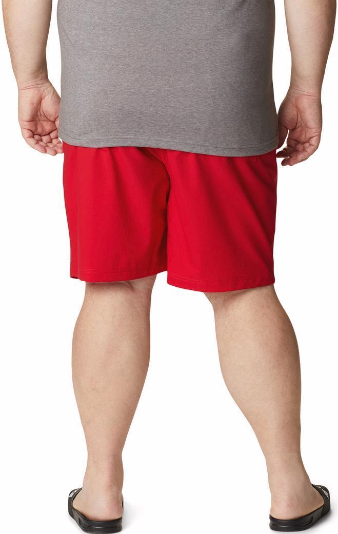 Summertide Stretch Shorts, 6" Inseam - Big - Mens - Mountain Red 2