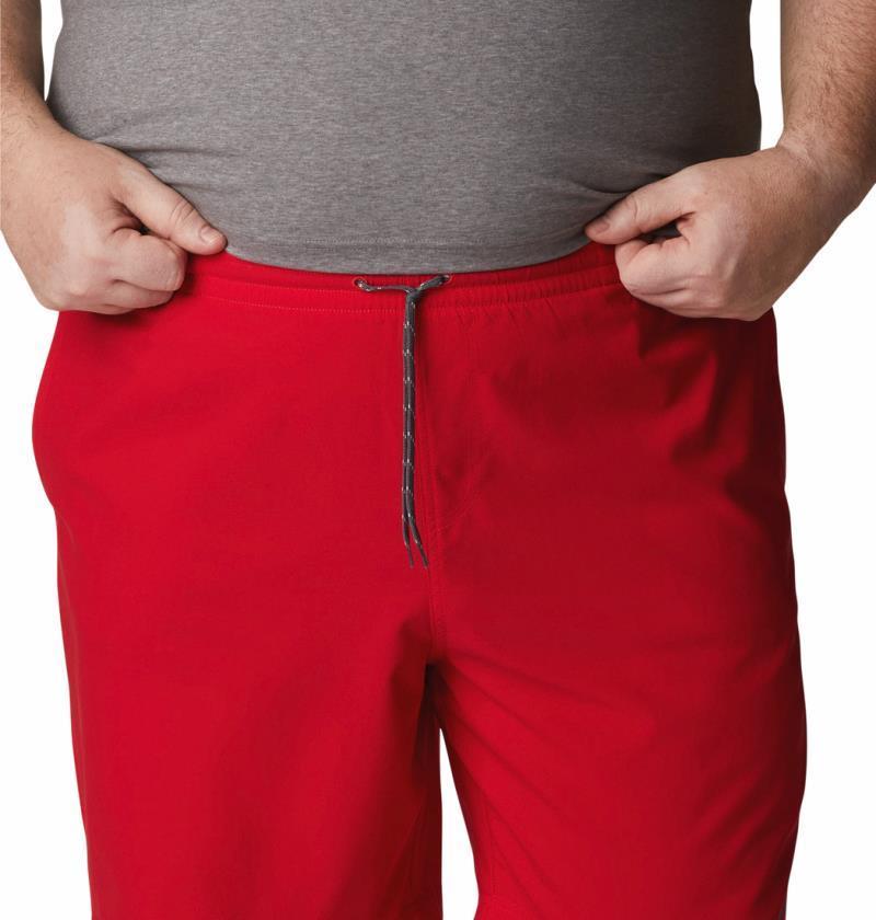 Summertide Stretch Shorts, 6" Inseam - Big - Mens - Mountain Red 4