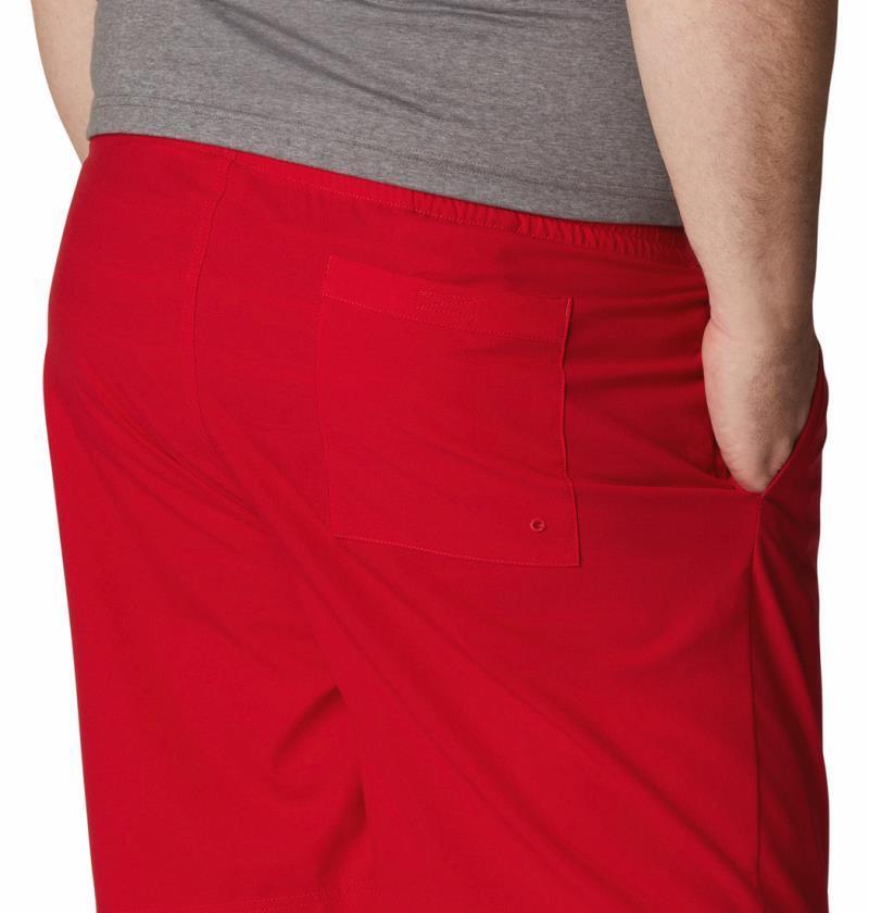 Summertide Stretch Shorts, 6" Inseam - Big - Mens - Mountain Red 5