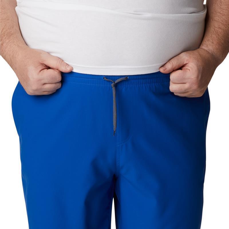 Summertide Stretch Shorts, 8" Inseam - Big - Mens - Azul 4