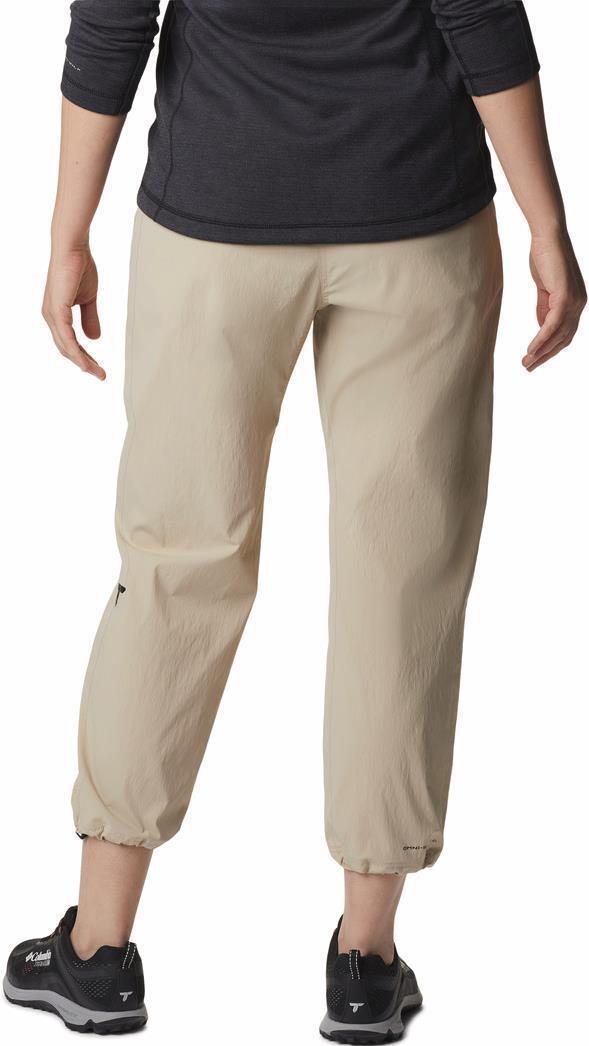 Titan Pass Lightweight Pants, Reg - Womens - Ancient Fossil 2