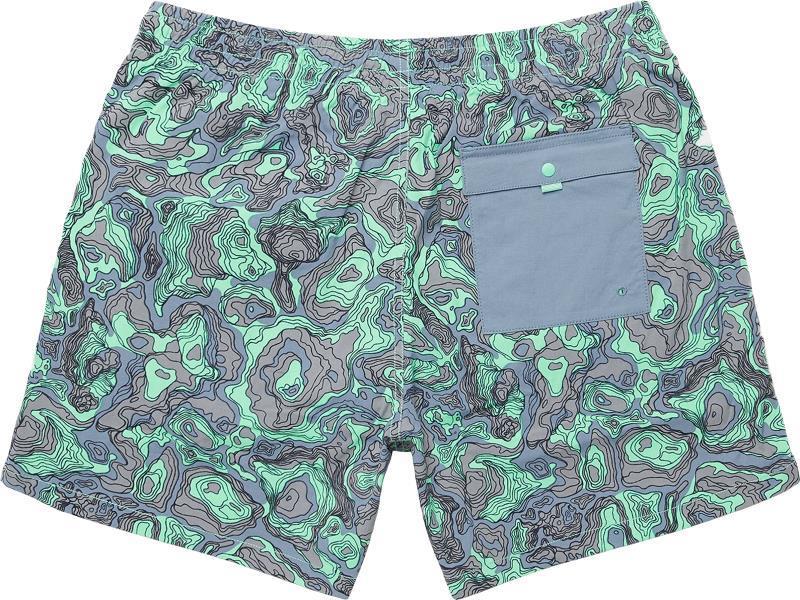 Brinco Shorts, 5" Inseam, Printed - Mens - tempest / parakeet 1