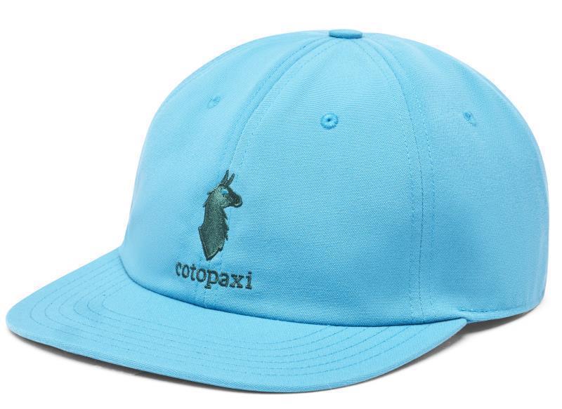 Cotopaxi Dad Hat - Poolside 1