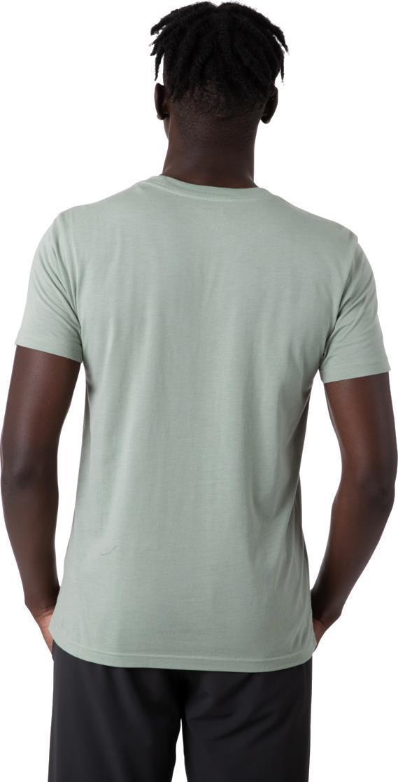 Cotopaxi Stripe T-Shirt - Mens - Brush 3