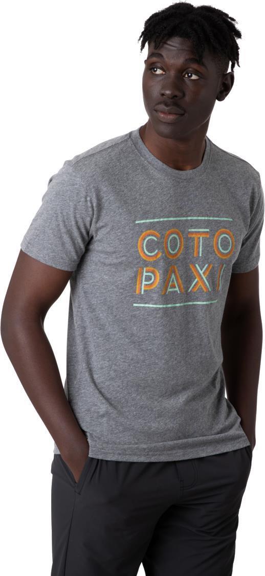 Cotopaxi Stripe T-Shirt - Mens - Heather Grey 2
