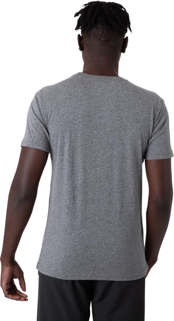 Cotopaxi Stripe T-Shirt - Mens - Heather Grey 3