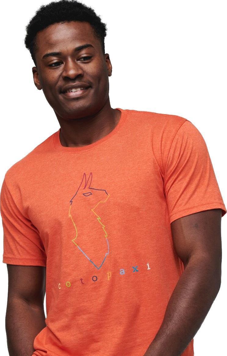 Electric Llama T-Shirt - Mens - Canyon 2