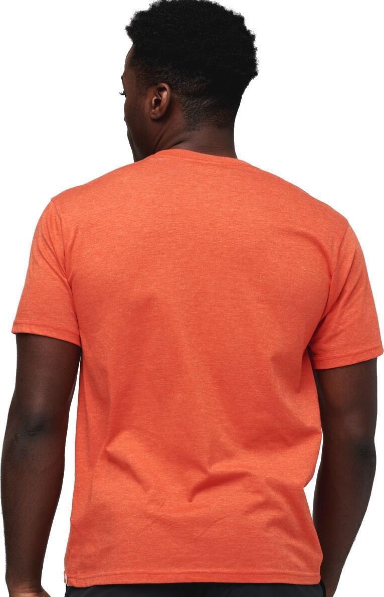 Electric Llama T-Shirt - Mens - Canyon 3