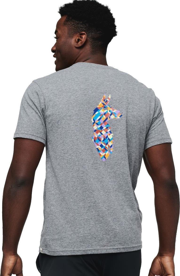 Llama Lover T-Shirt - Mens - Heather Grey 3