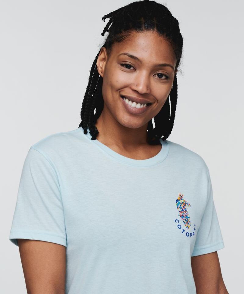 Llama Lover T-Shirt - Womens - Ice 2