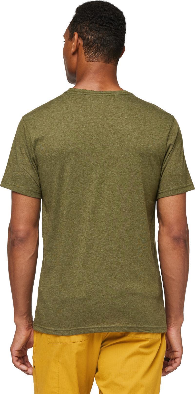 Llama Stripes Organic T-Shirt - Mens - pine 1