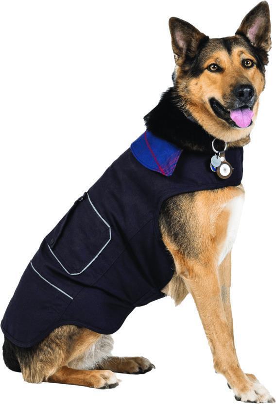 Shop Dog Jacket - Black 1