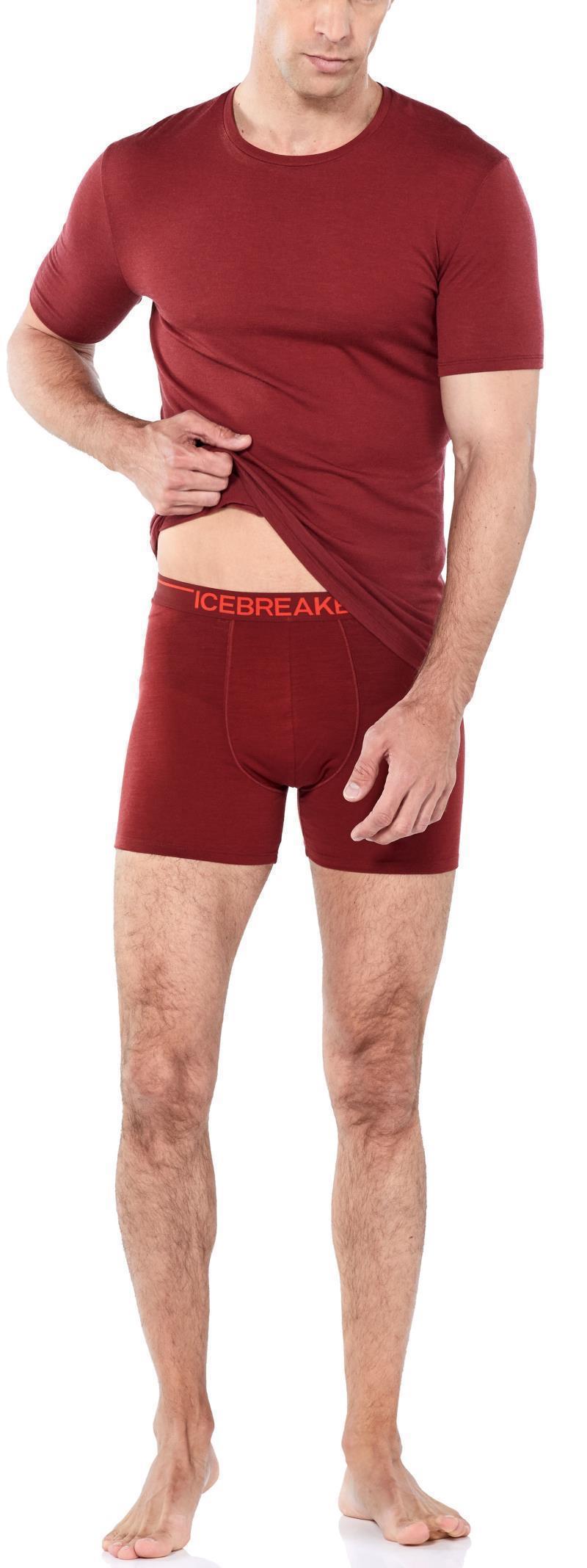 Merino 150 Anatomica Boxers - Mens - Cabernet 4