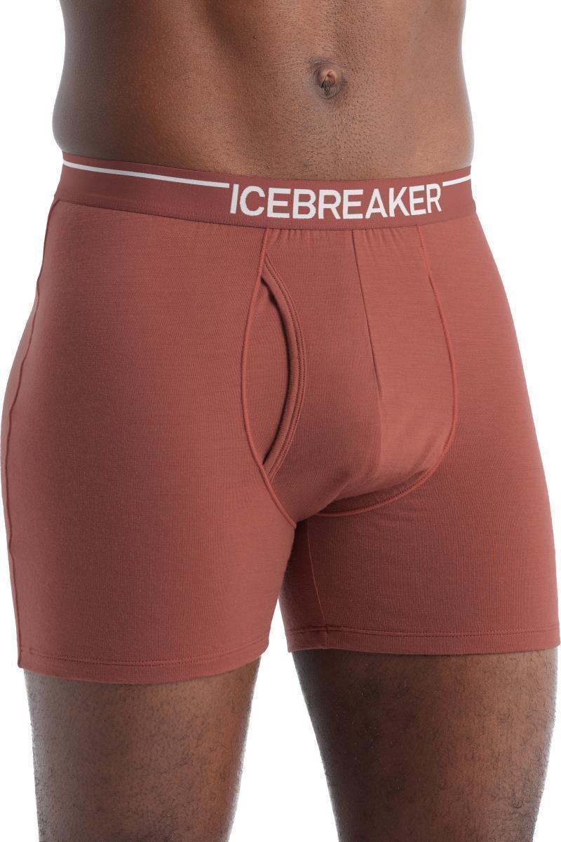 Merino 150 Anatomica Boxers with Fly - Mens - Grape 2