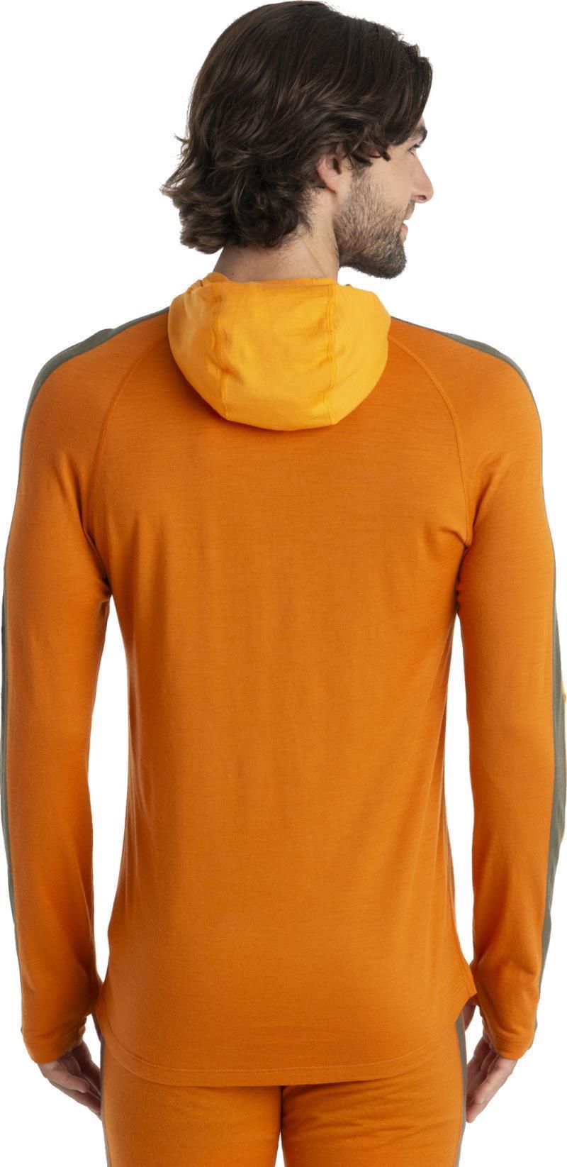 Merino 200 Sonebula LS Half Zip Hood - Mens - Earth / Solar / Loden / CB 4