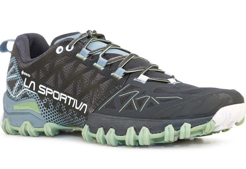 Bushido II GTX - Womens - Carbon / Mist 1