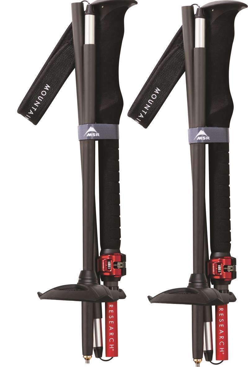 DynaLock Ascent Carbon Poles - Carbon 2