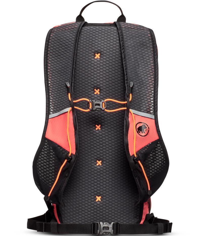 Aenergy 12L - Salmon 2