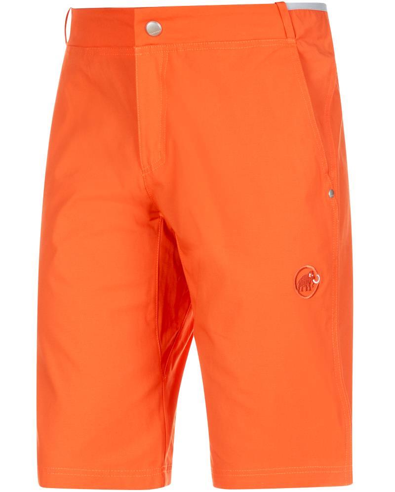 Alnasca Shorts, 13" Inseam - Mens - Zion 1