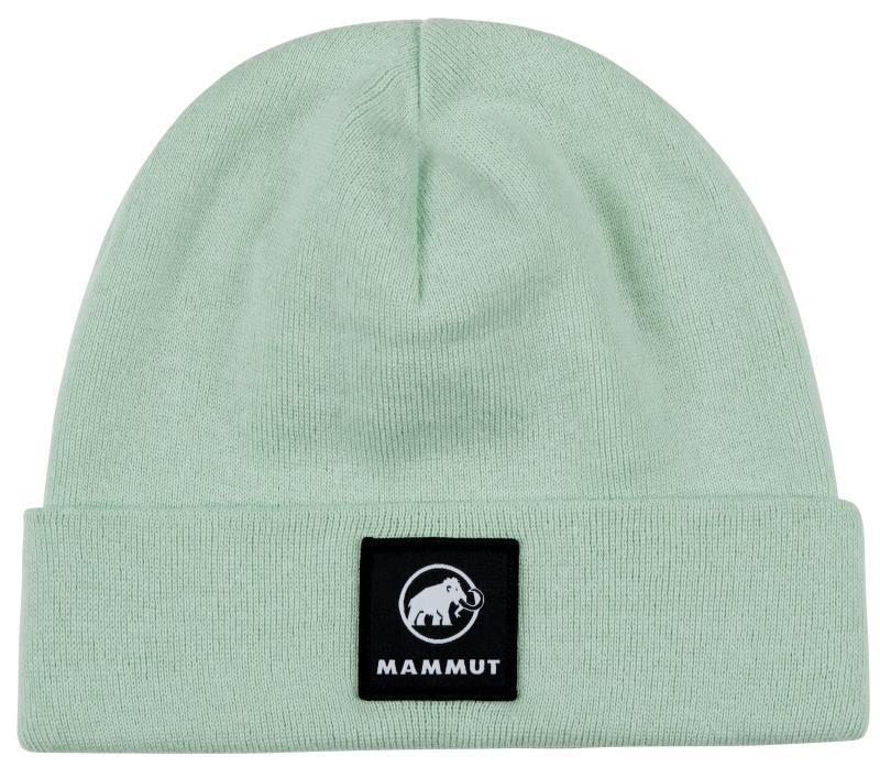 Fedoz Beanie - Neo Mint 1