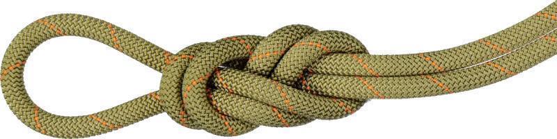 Gym Workhorse 9.9mm Classic Standard x 30m - Boa 1