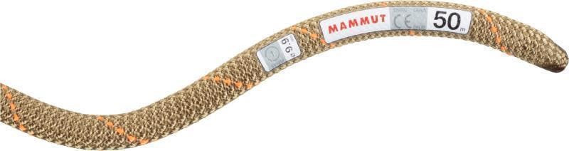 Gym Workhorse 9.9mm x 40m - Classic Standard - boa 1