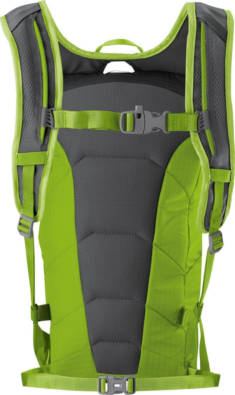 Neon Light 12L - Sprout 2