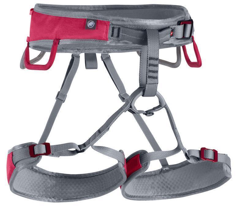 Ophir Fast Adjust Harness - Womens - Dark Magenta / Iron 1