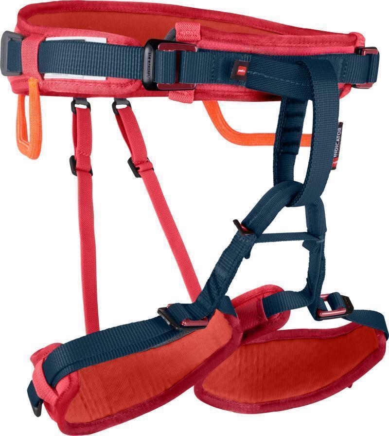 Ophir Harness - Kids - Barberry 1