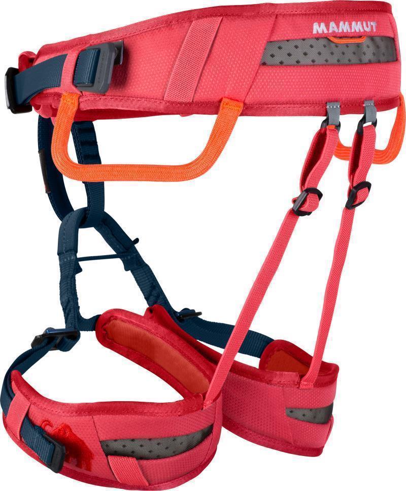 Ophir Harness - Kids - Barberry 2