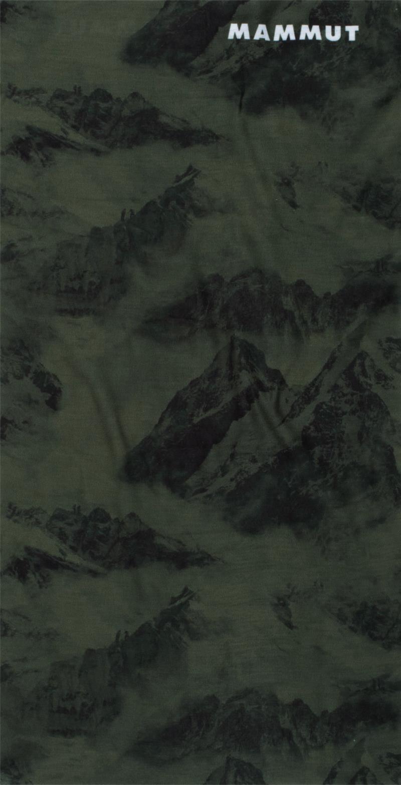 Peaks Neck Gaiter - Iguana 1