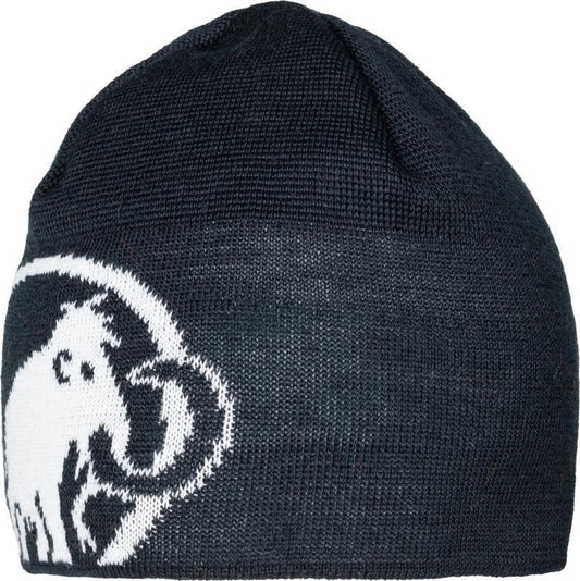 Tweak Beanie - Marine / White 1