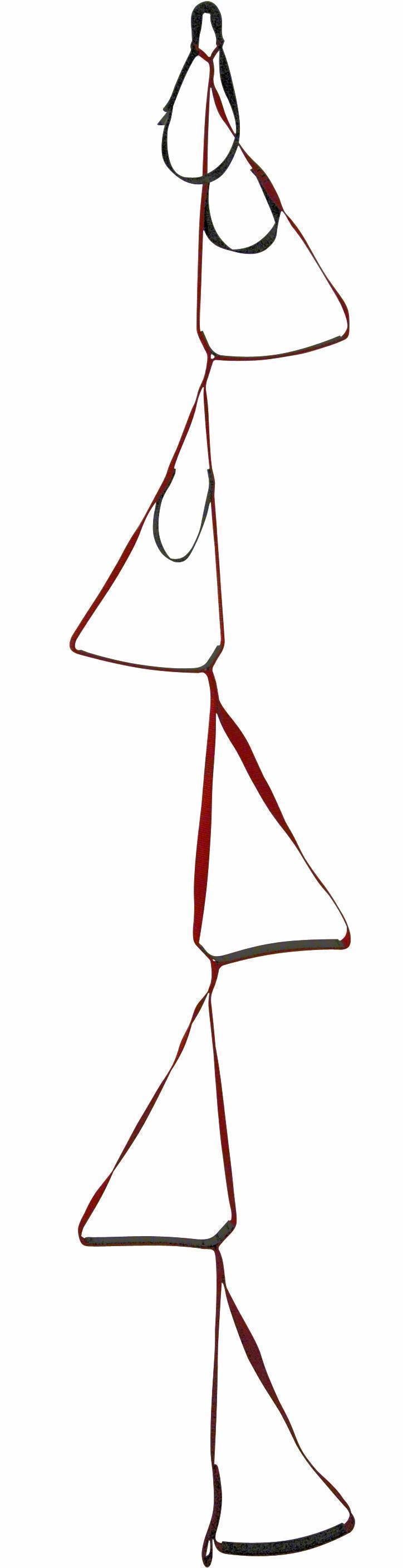 Aider 1"- 5 Step - Red 1