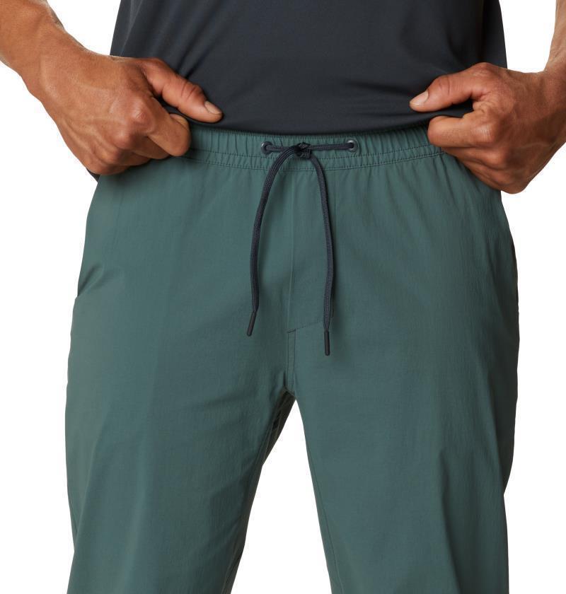 Basin Pull-On Pants, Reg - Mens - Black Spruce 4