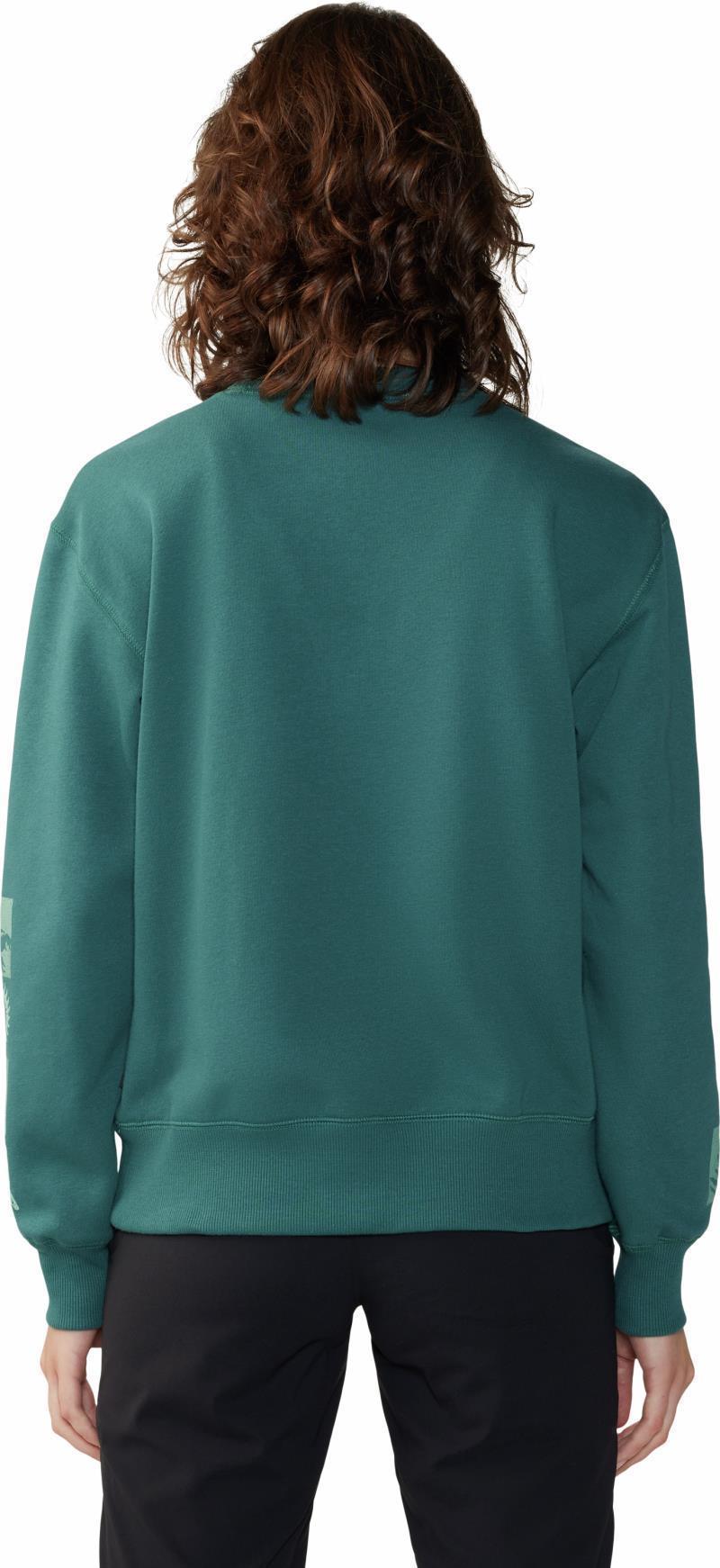 Desert Check Pullover Crew - Womens - Aqua Green 2