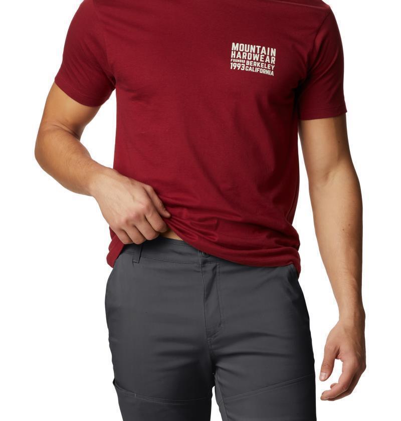 Hardwear AP Pants, 30" Inseam - Mens - Dark Storm 5