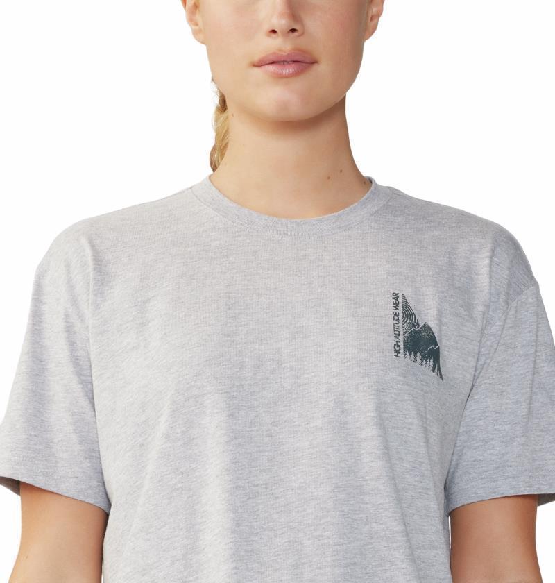 Jagged Peak Boxy Crop SS - Womens - Hardwear Grey Heather 4
