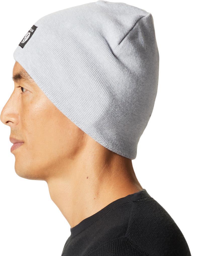 MHW Logo Beanie - Glacial 2