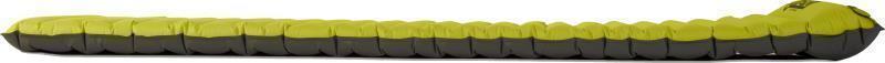 Astro Insulated Regular - Birch Bud 3