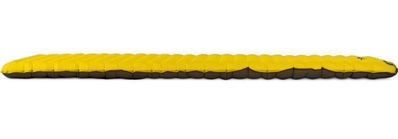 Tensor Regular - Goldfinch 2