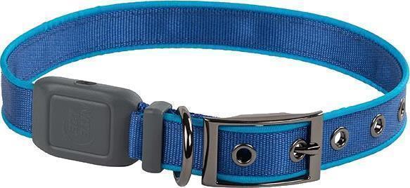 NiteDog Rechargeable LED Collar - M - Blue / Blue 2