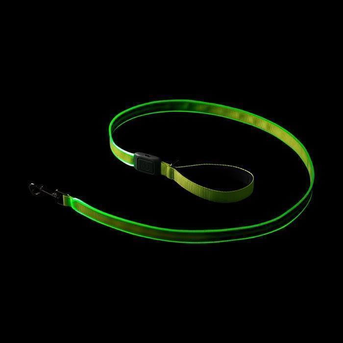 NiteDog Rechargeable LED Leash - Lime / Green 3