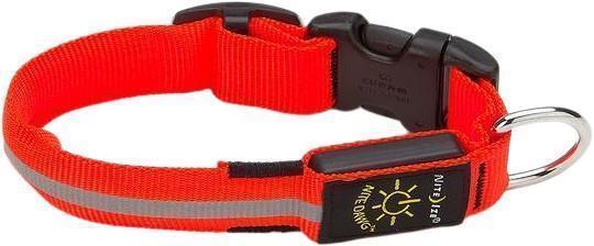 Nite Dawg LED Dog Collar - Orange - Small - Not Applicable 1