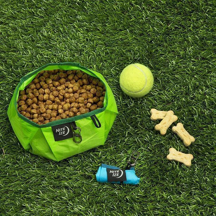 RadDog Collapsible Bowl - Lime 1